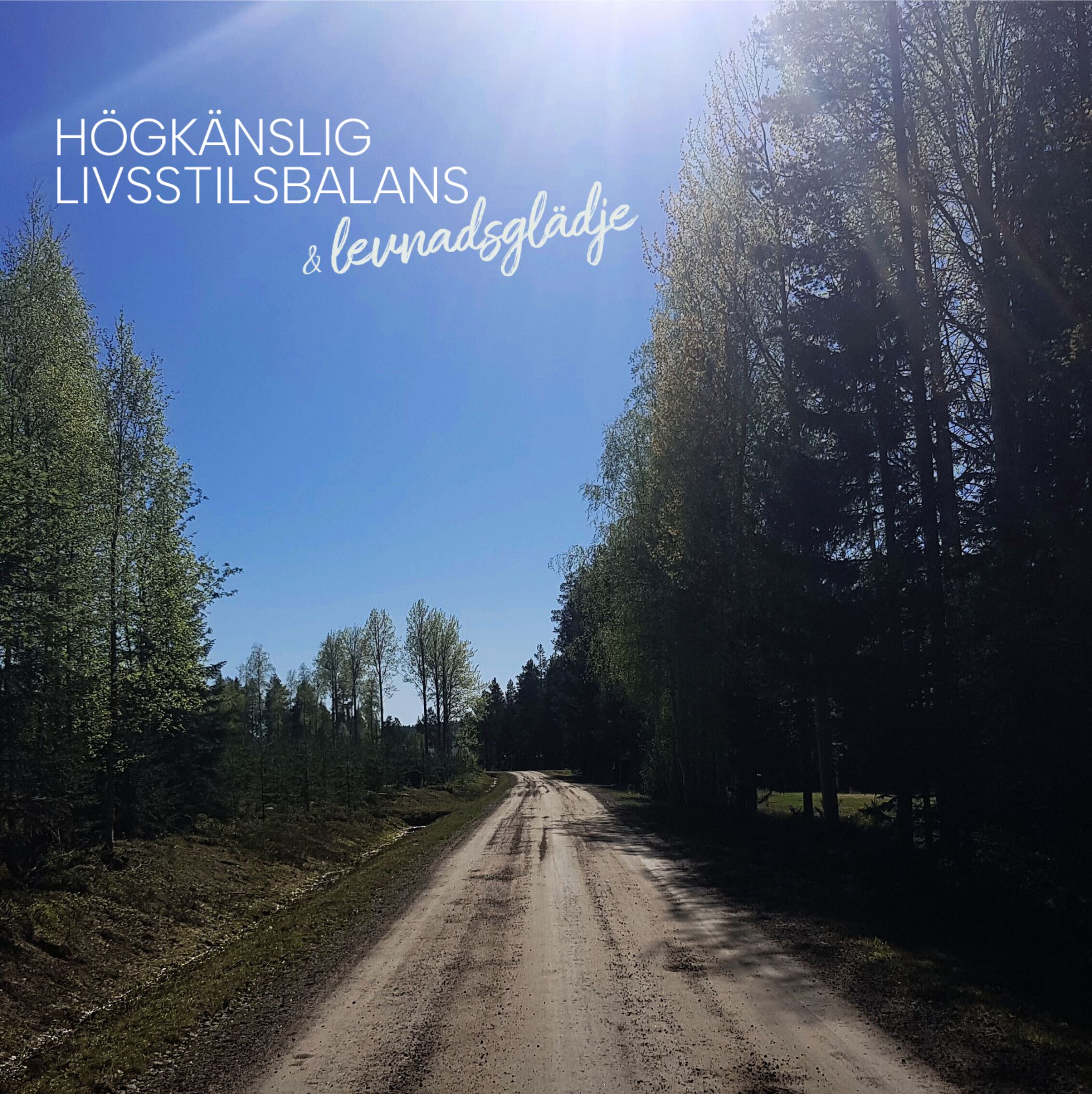 högkänslig livsstilsbalans och levnadsglädje